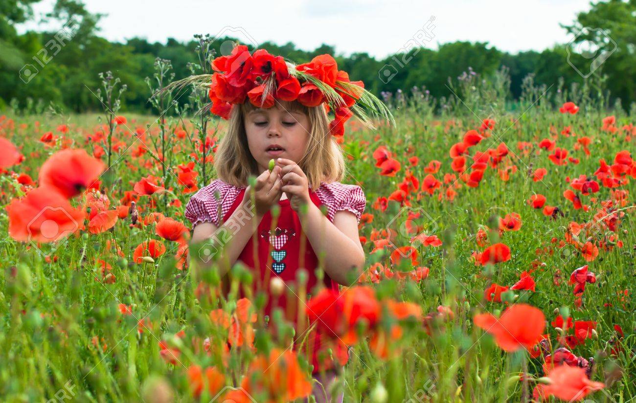 Little girl in a wreath from poppies - 20628213 Little girl in a wreath from poppies - 20628213