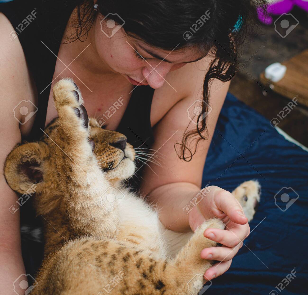 etiam-dictum-ipsum-a-felis