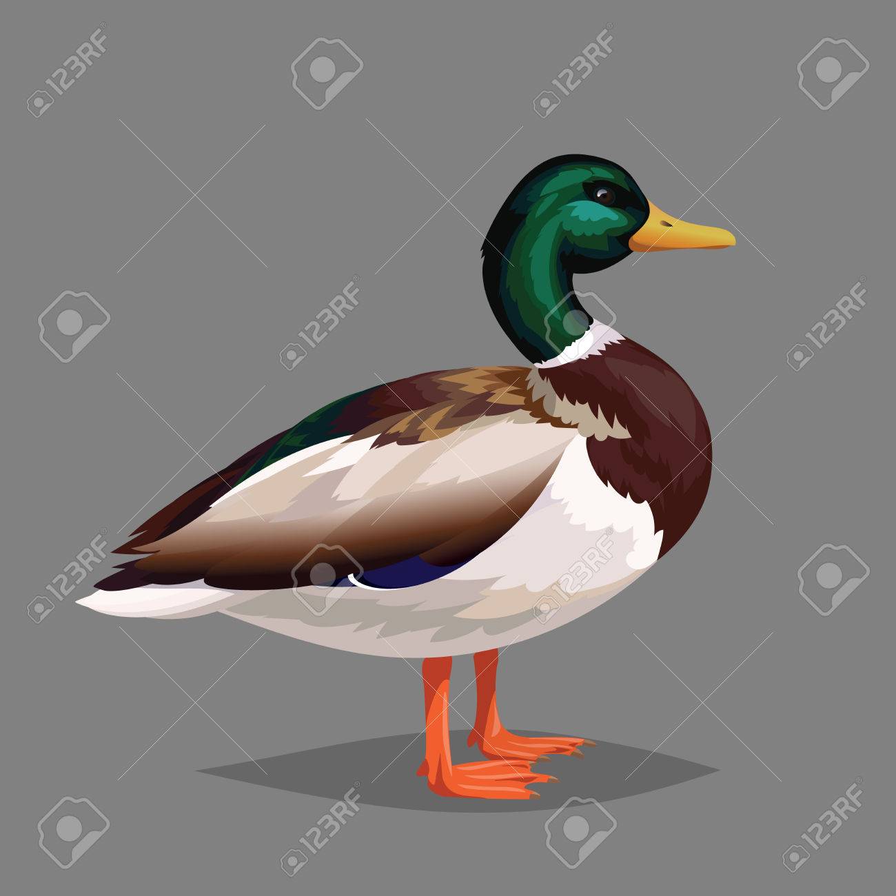 特大】 カップ sarreguemines アニマル カモ 鴨 手彩色 蝶々 【公式通販】