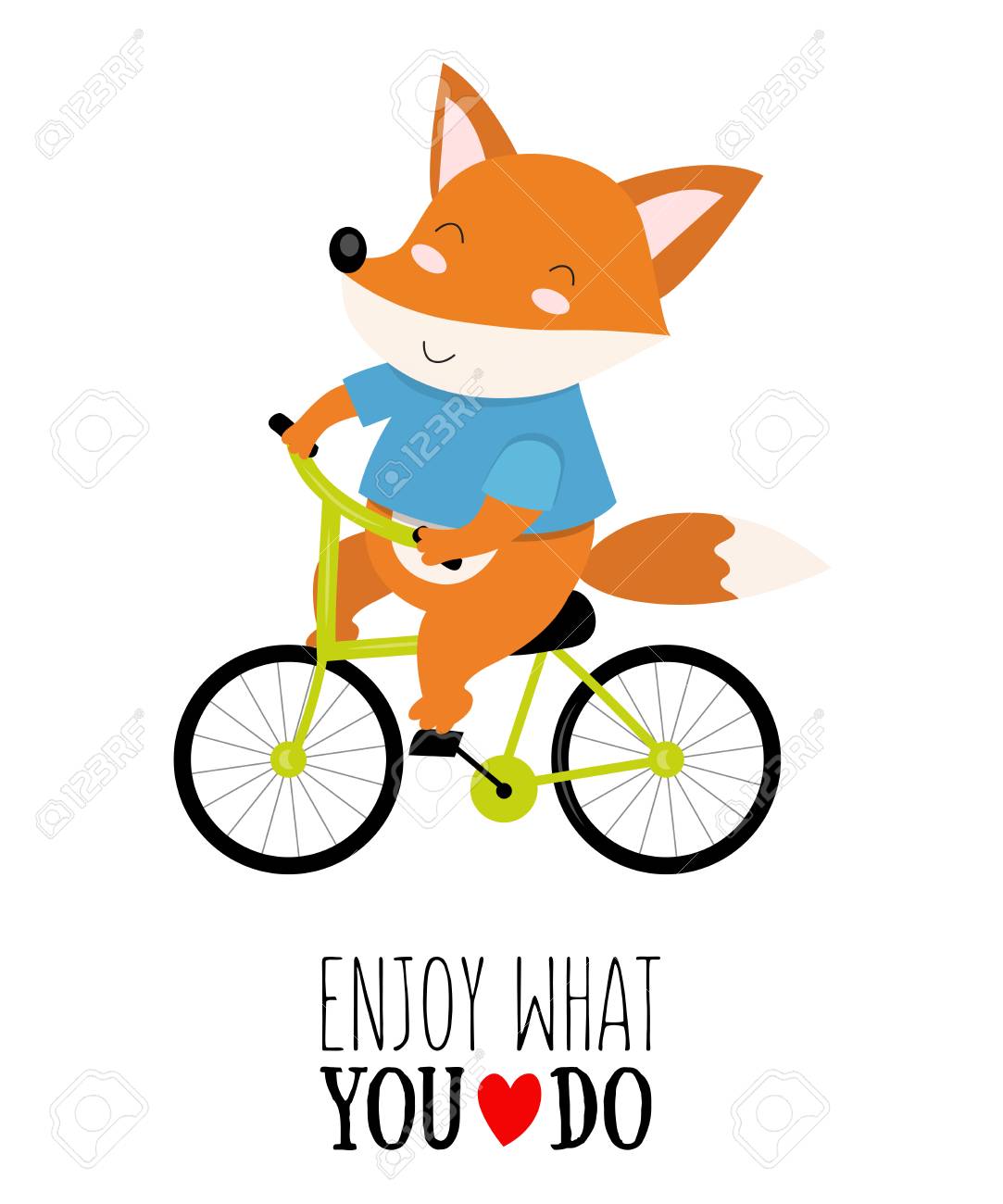 fox cycling