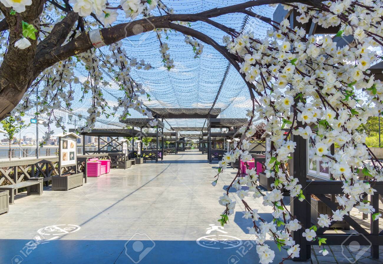 Kazan city, Republic of Tatarstan/Russia - may 24 2019: Flowers, alley, arch on the embankment - 142402789 Kazan city, Republic of Tatarstan/Russia - may 24 2019: Flowers, alley, arch on the embankment - 142402789