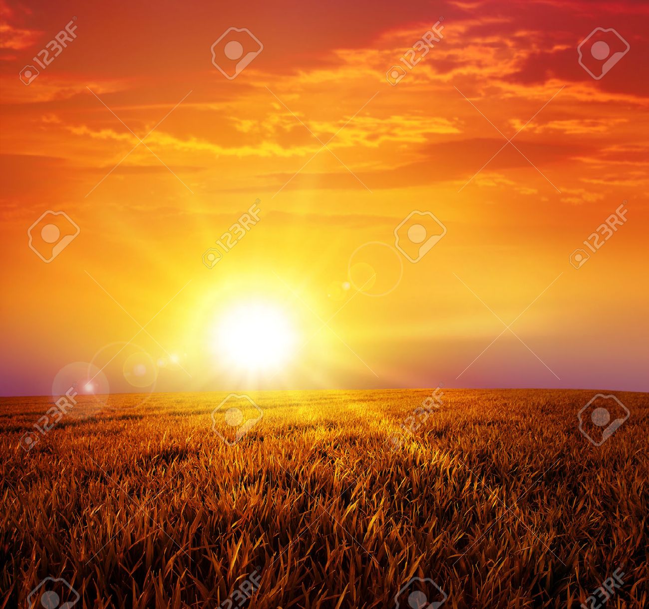 野生の草原の暖かい夕日 静かな草原に強烈な太陽 の写真素材 画像素材 Image