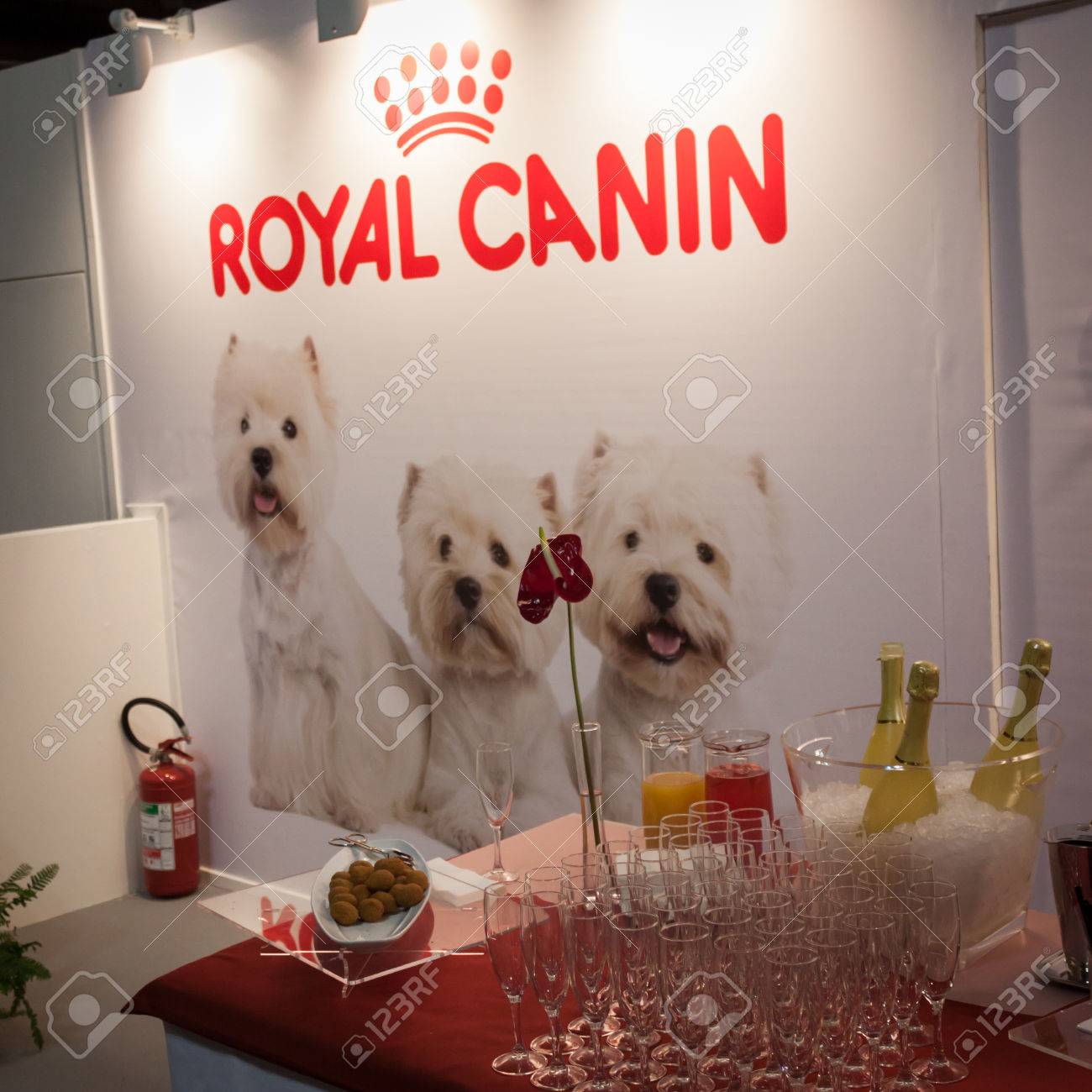 royal canin dog show