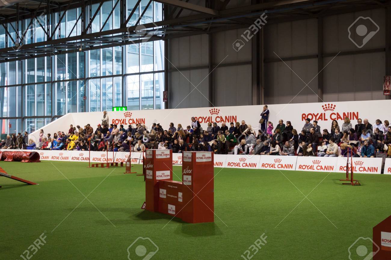 royal canin agility