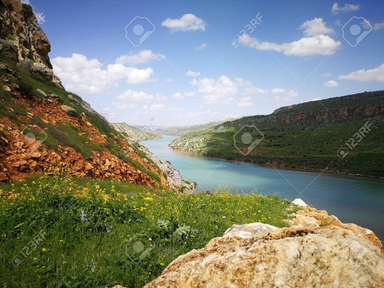 etiam-dictum-ipsum-a-felis