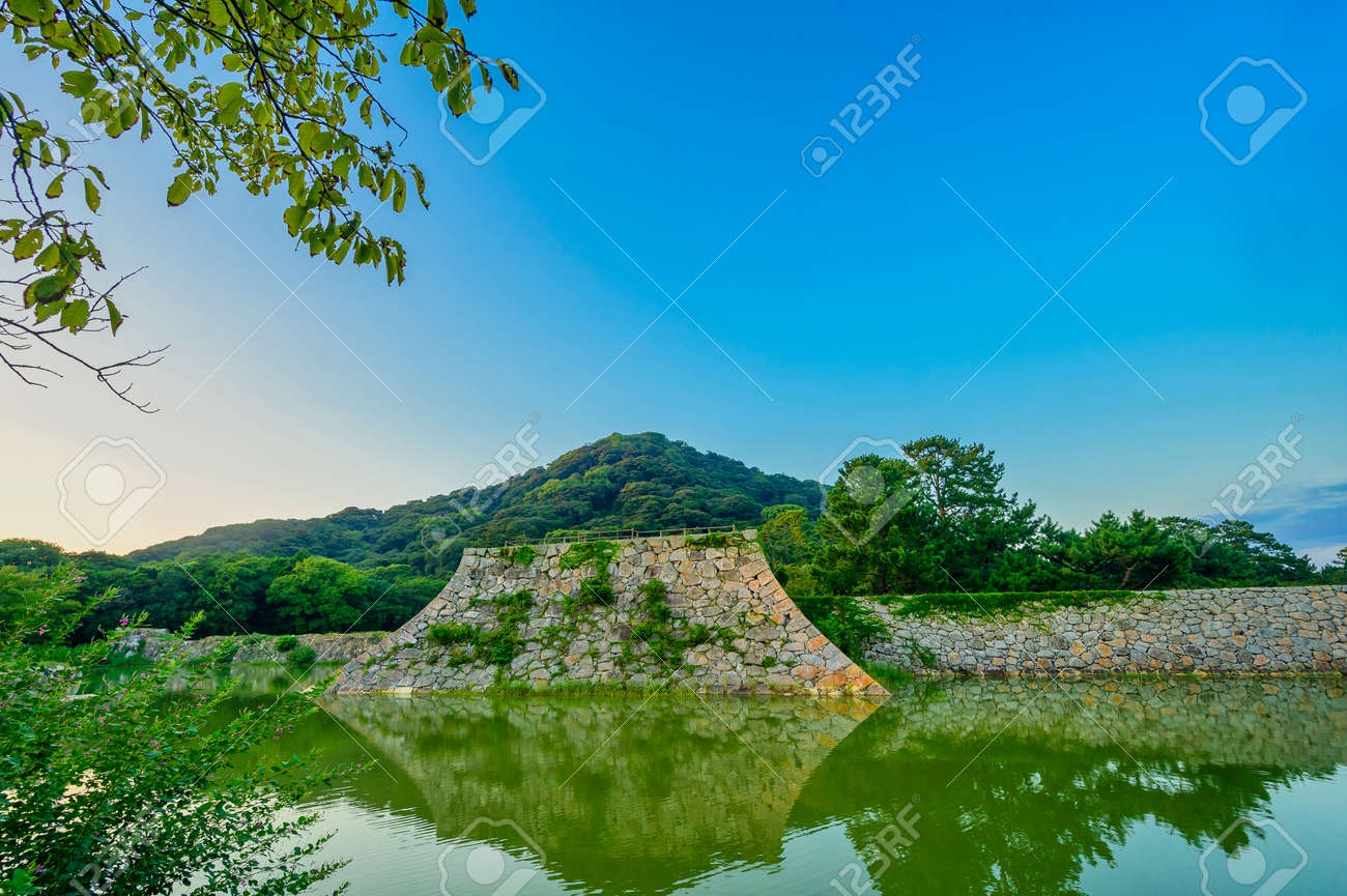 etiam-dictum-ipsum-a-felis