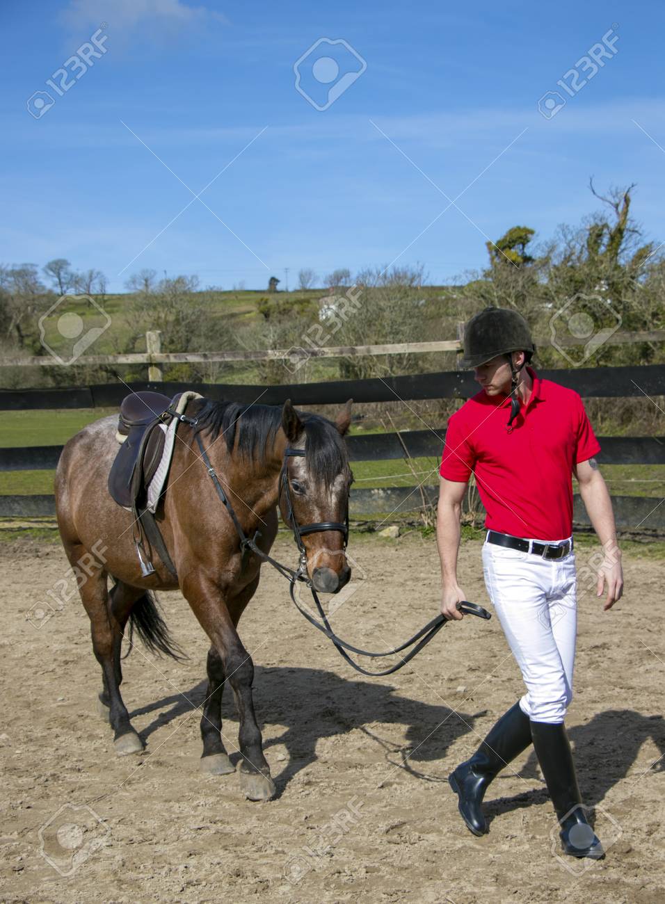 horse riding polo shirts