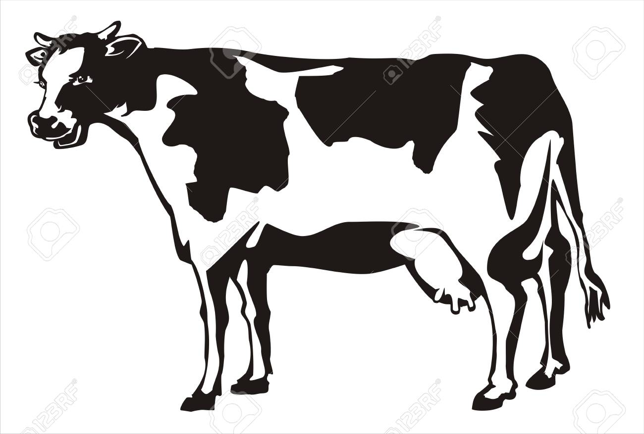 Cow Icon Royalty Free Cliparts Vectors And Stock Illustration Image