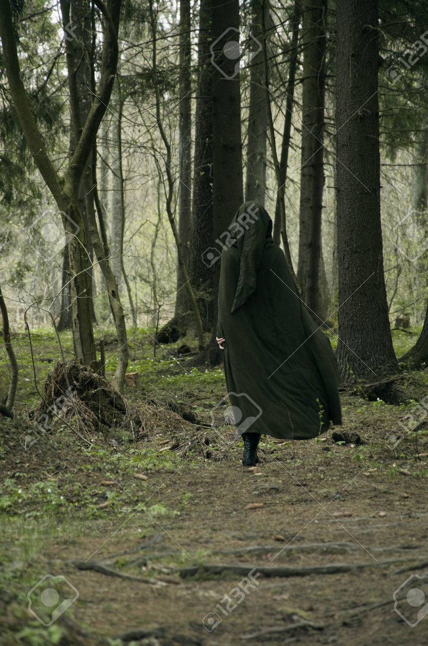 エルフの深い森 森の魔女のイメージ の写真素材 画像素材 Image