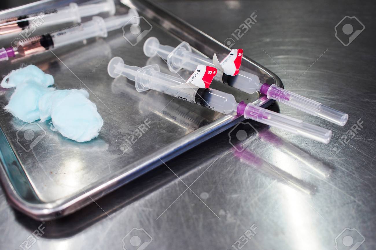 猫のための動物医療シリンジ ワクチン の写真素材・画像素材. Image 