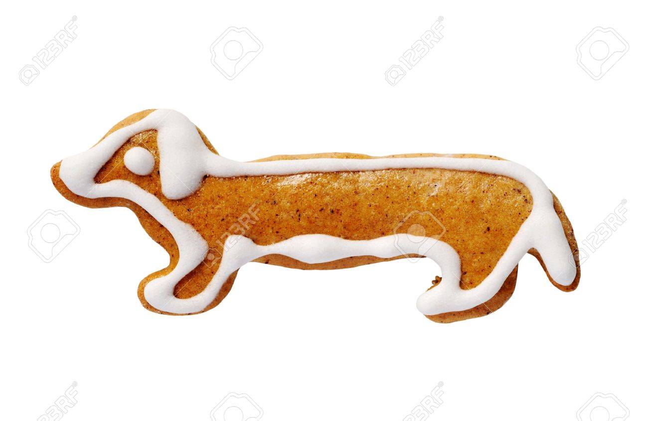 dog shaped cookie