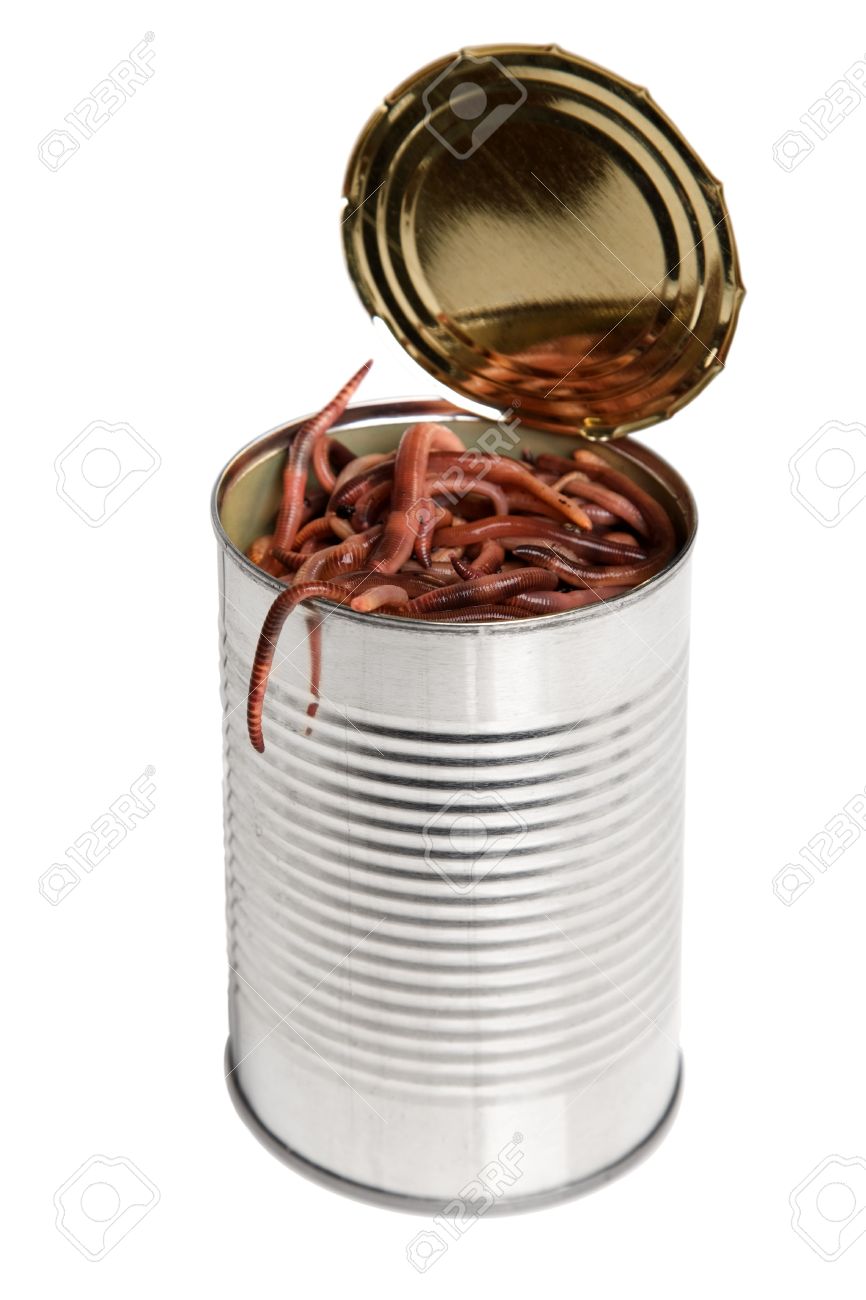 https://previews.123rf.com/images/toddtaulman/toddtaulman0904/toddtaulman090400003/4656346-Concept-for-the-idiom-of-a-open-can-of-worms-Stock-Photo-worms.jpg