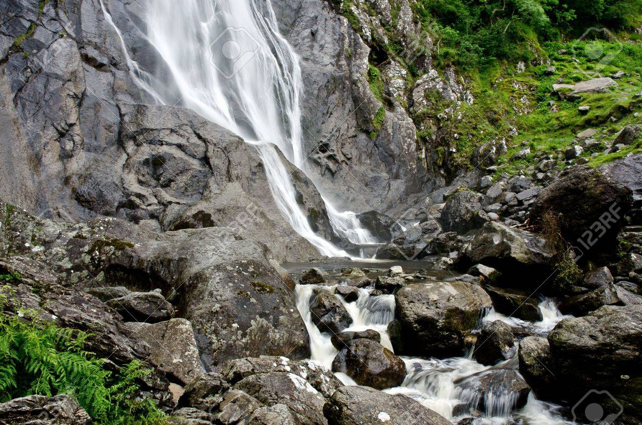 etiam-dictum-ipsum-a-felis