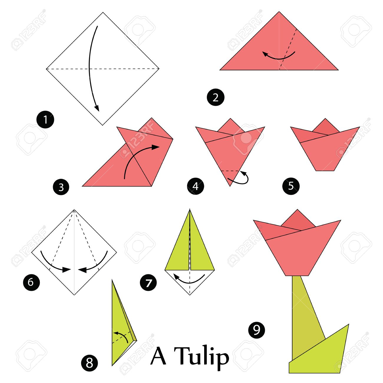 Instrucciones Paso A Paso Cómo Hacer Origami De Un Tulipán