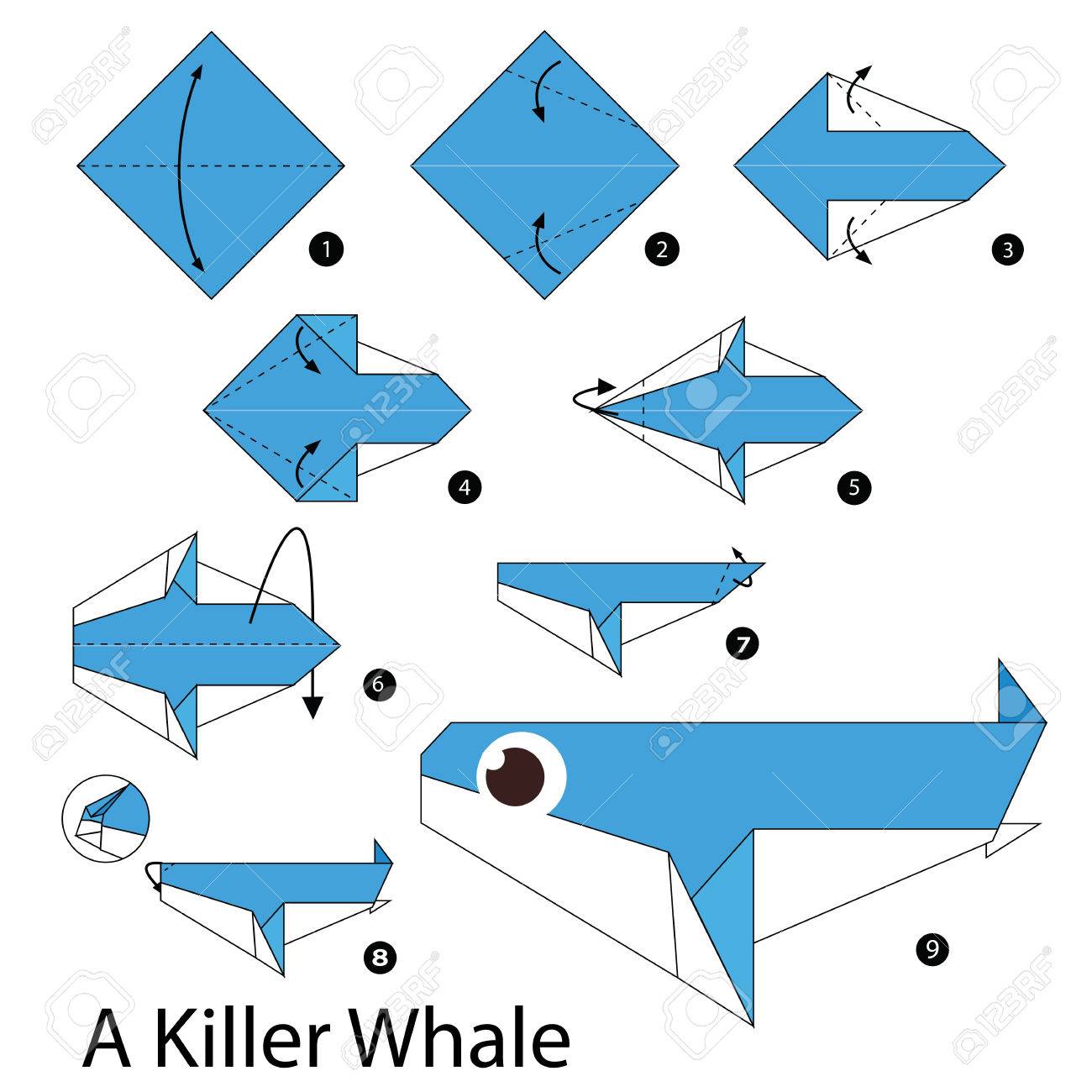 Step By Step Instructions How To Make Origami A Killer Whale