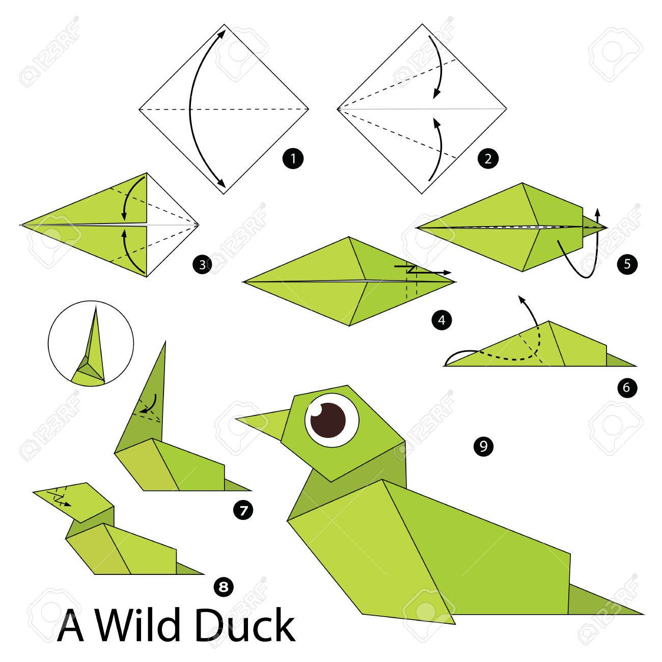 step by step instructions how to make origami a wild duck royalty