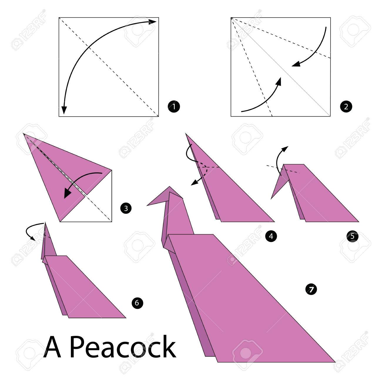 Step By Step Instructions How To Make Origami A Peacock