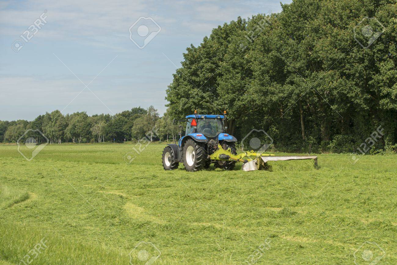 Pasture mowing near me sale