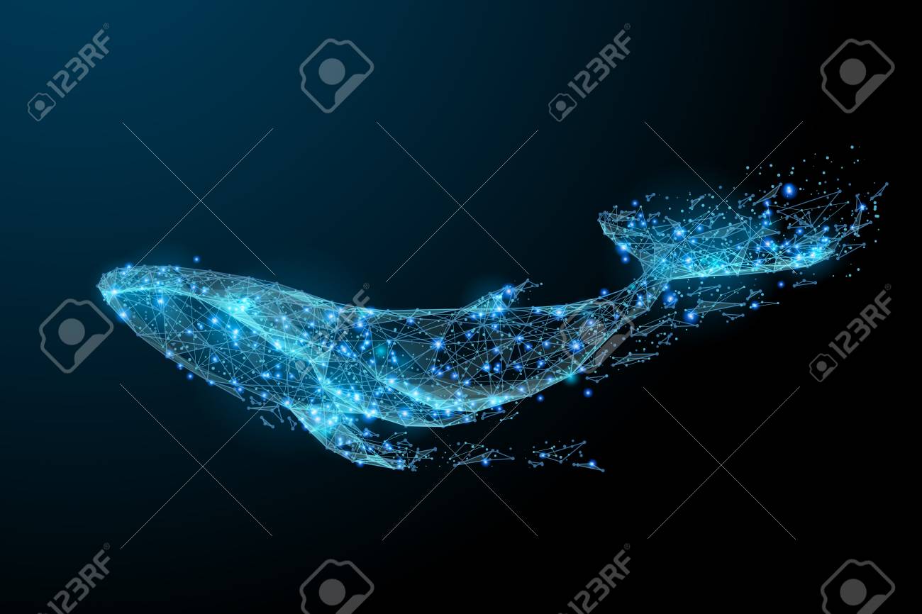 Baleia Azul Composta De Poligono Conceito Digital De Animais Marinhos Baixa Ilustracao Vetorial Poli De Um Ceu Estrelado Ou Comos Ilustraciones Vectoriales Clip Art Vectorizado Libre De Derechos Image 86639304