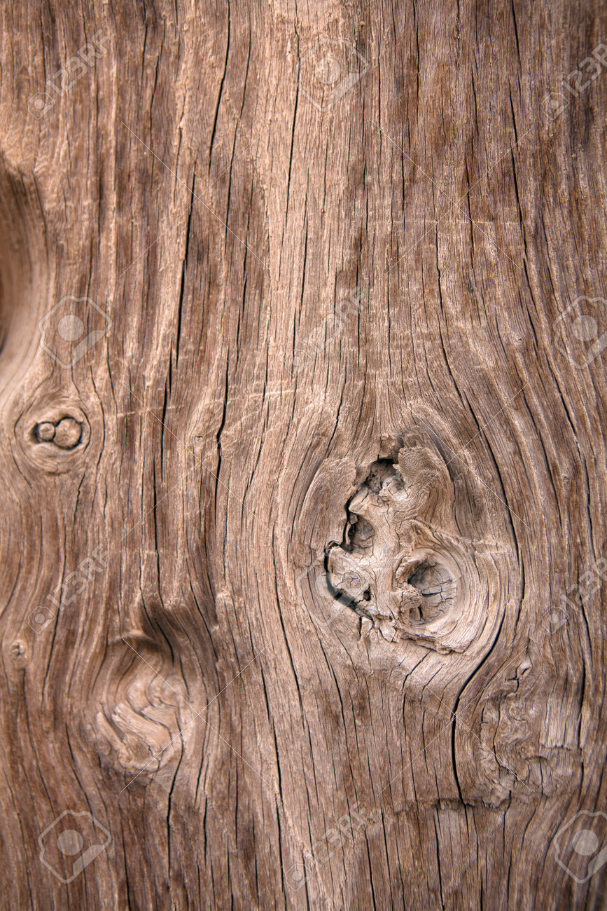 Wooden Texture. Close-up Of Wood Texture. Old Wooden Background . Real  Textures Of Old Wood Background Stock Photo, Picture and Royalty Free  Image. Image 200228968., image size:867x1300
