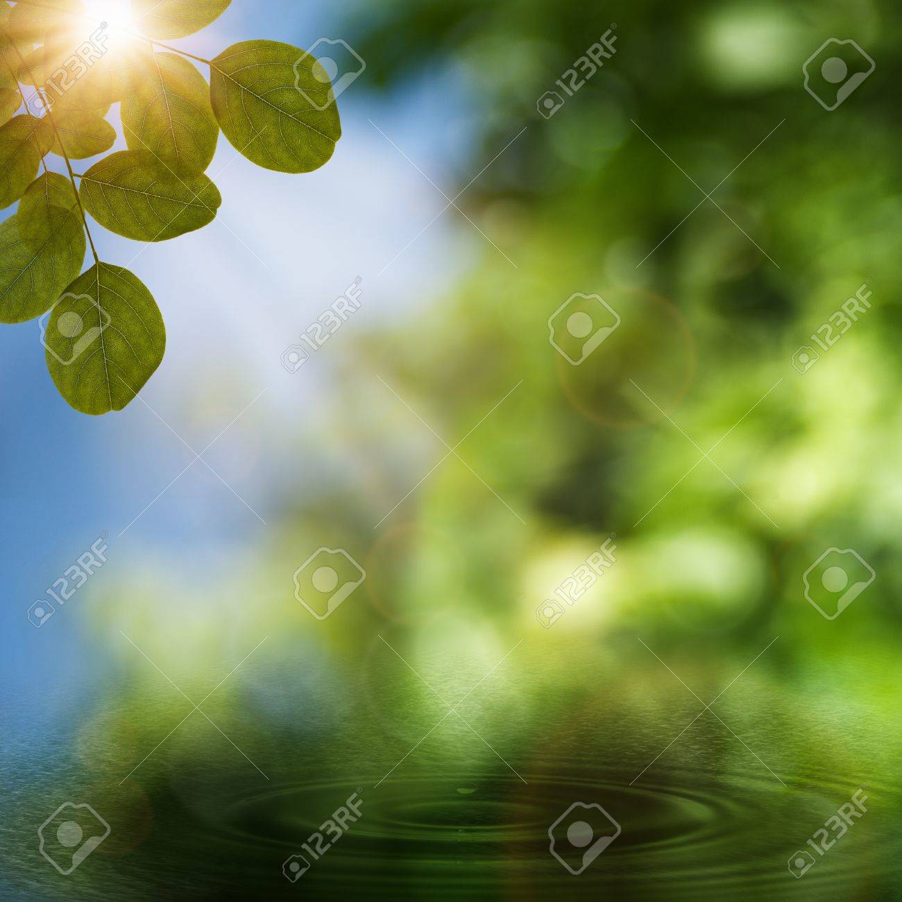 雨上がり 自然の抽象的な背景 の写真素材 画像素材 Image
