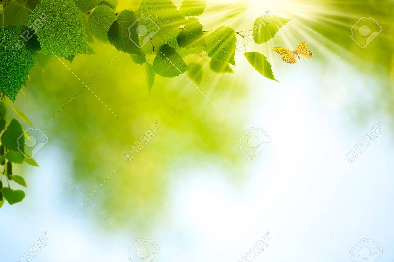 Beauty Summer Day Abstract environmental backgrounds for your design - 20214499 Beauty Summer Day Abstract environmental backgrounds for your design - 20214499