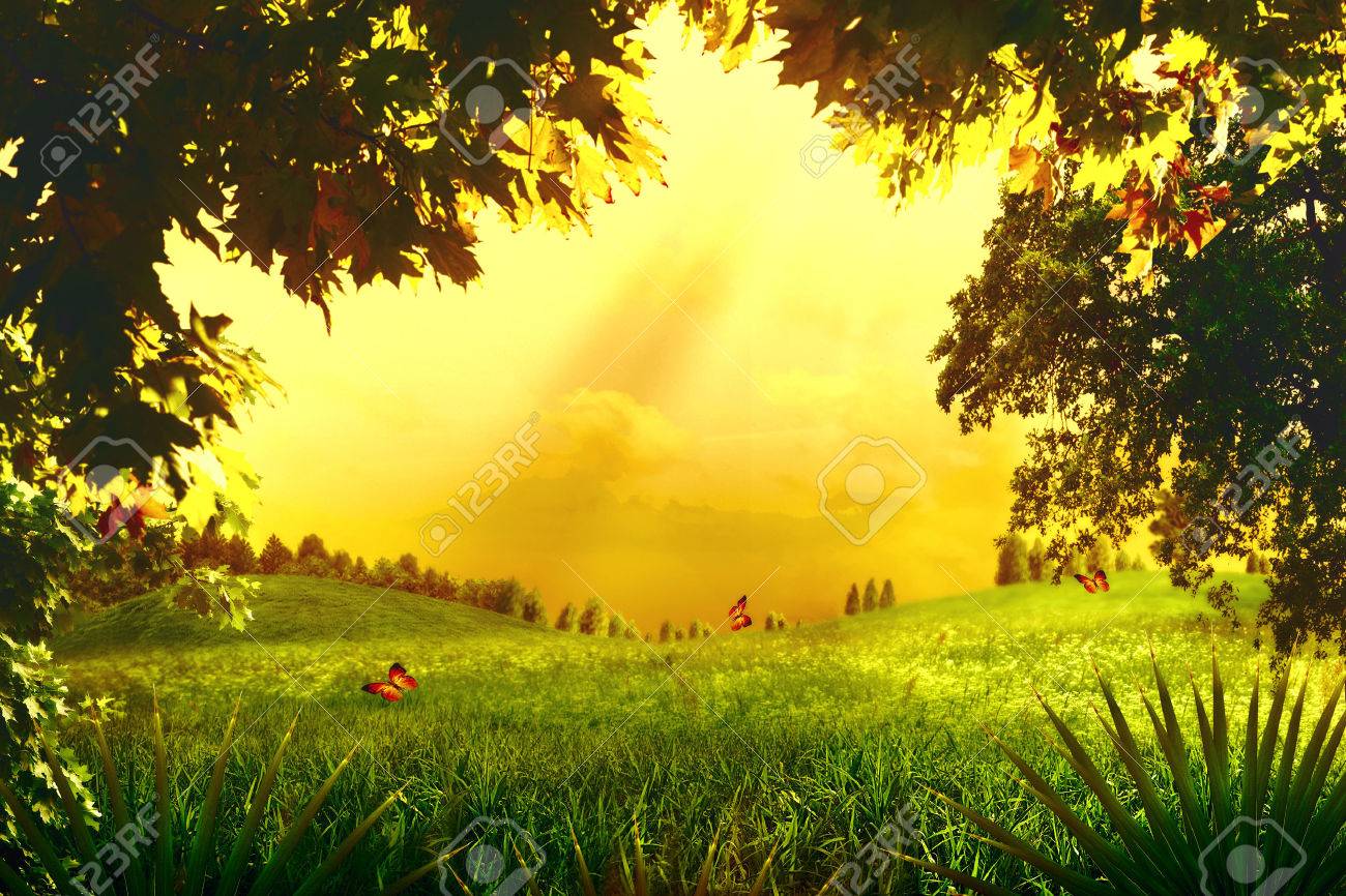 Magic Forest. Abstract environmental backgrounds for your design - 22510375 Magic Forest. Abstract environmental backgrounds for your design - 22510375