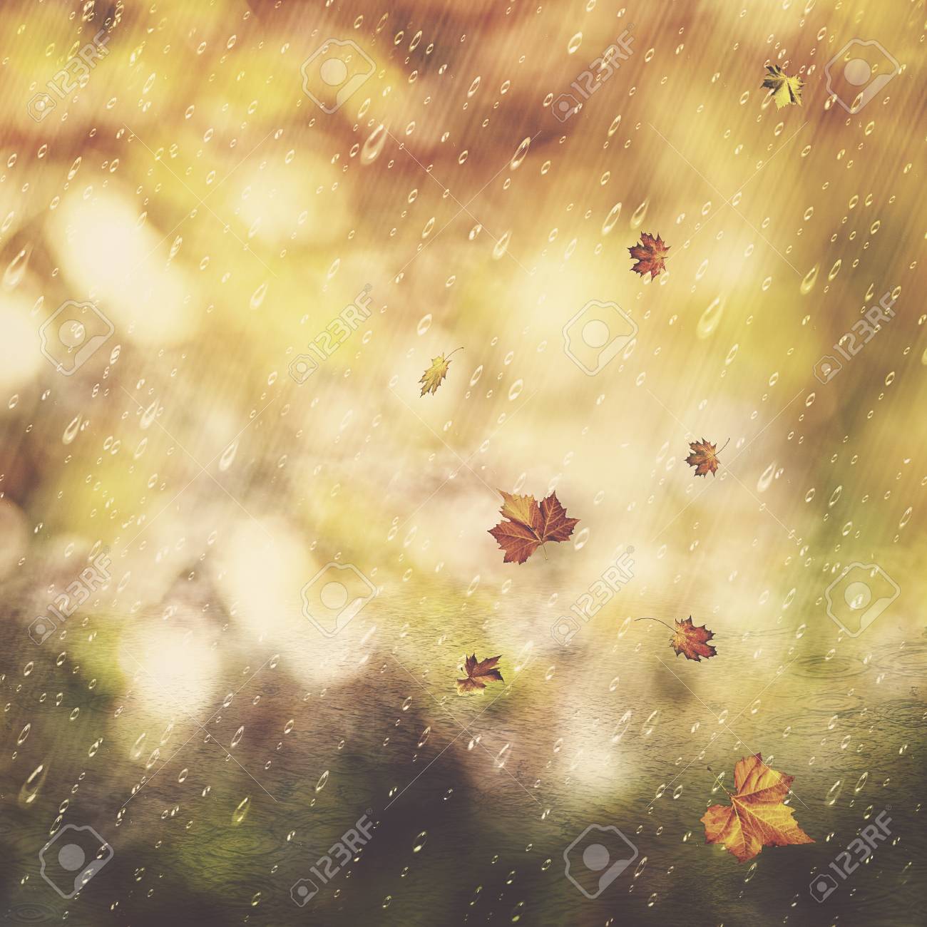 autumn rain abstract seasonal backgrounds with fall and water