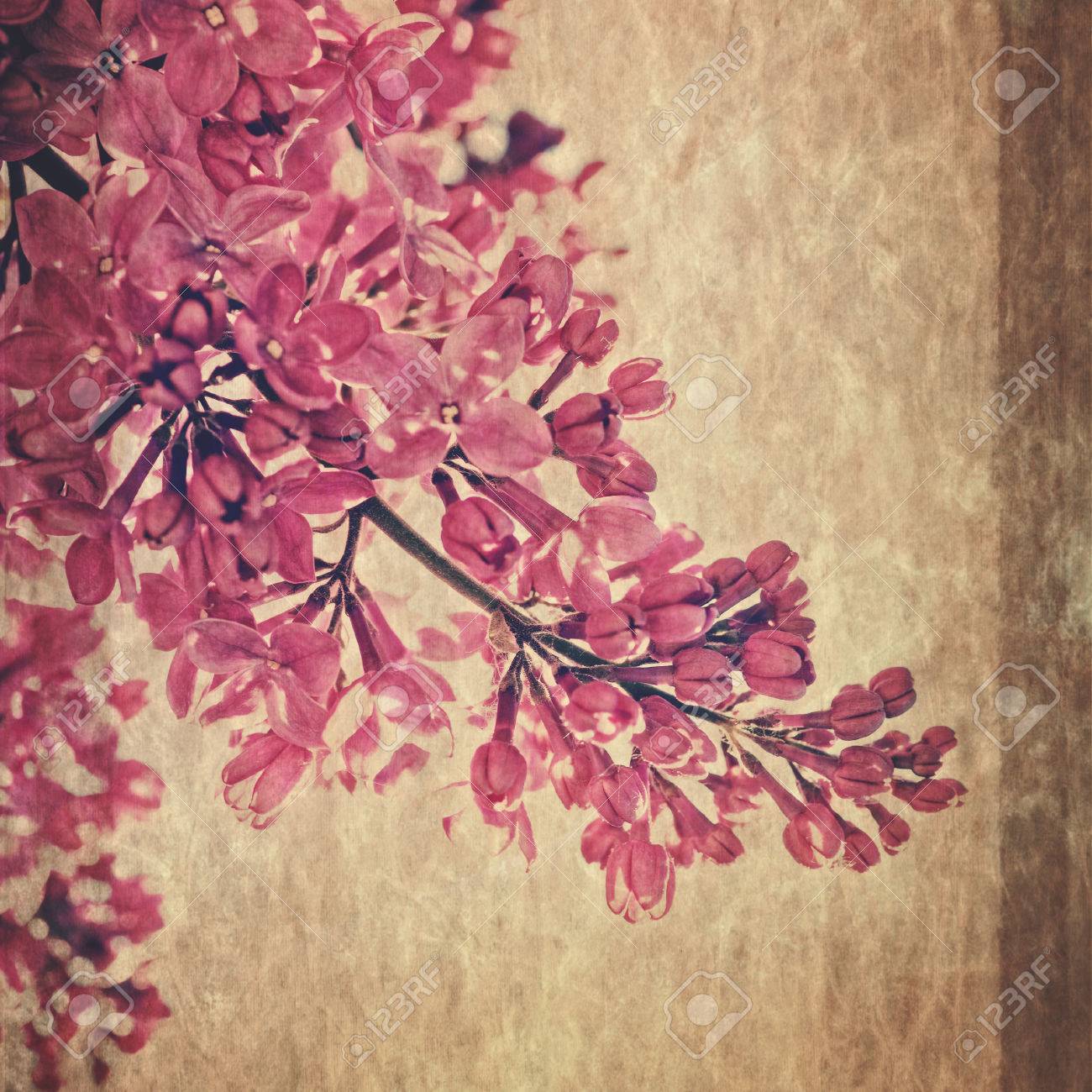 lilac flower retro fashioned post card with rice paper texture rice paper flower