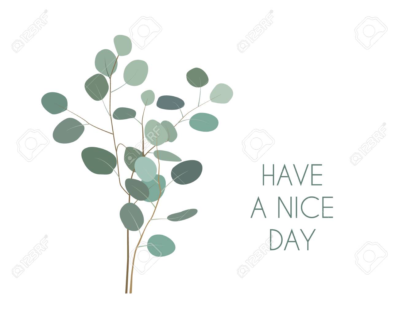 Have a nice Day greeting card with silver dollar Eucalyptus plant branches. Hand painted eucalyptus elements isolated on white background - 96719273 Have a nice Day greeting card with silver dollar Eucalyptus plant branches. Hand painted eucalyptus elements isolated on white background - 96719273