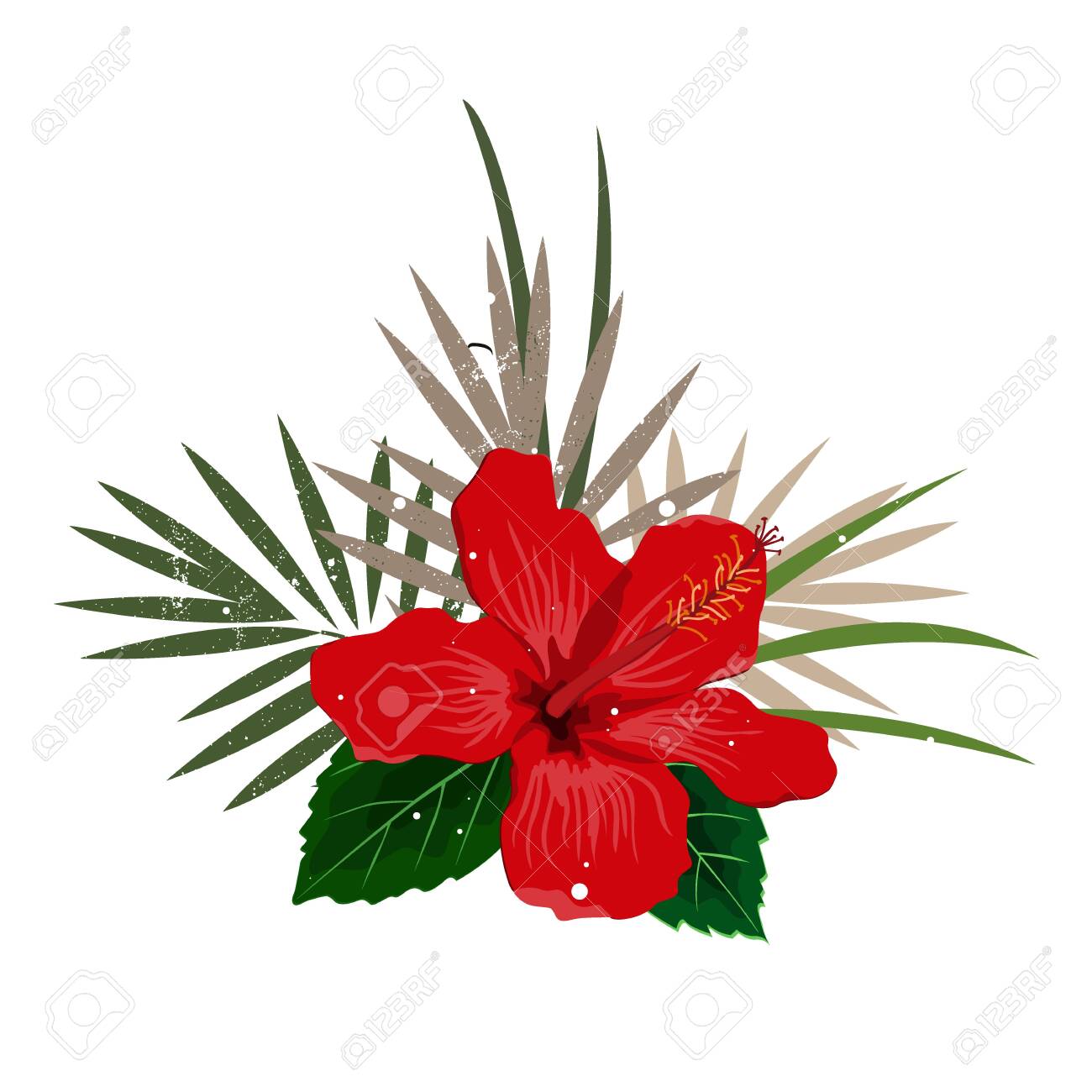 Bouquet composition with red hibiscus flower and palm leaves, flat vector illustration. Tropical exotic Hawaii plants isolated on white - 154960407 Bouquet composition with red hibiscus flower and palm leaves, flat vector illustration. Tropical exotic Hawaii plants isolated on white - 154960407