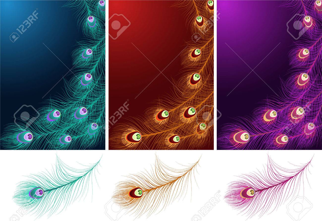 feather patterns vector illustration royalty free cliparts vectors feather patterns