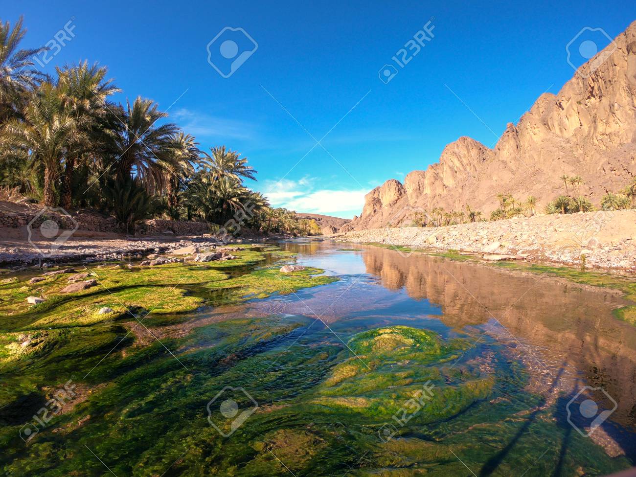 Beautiful Desert oasis landscape in Oasis De Fint near Ourzazate in Morocco, North Africa - 119221460 Beautiful Desert oasis landscape in Oasis De Fint near Ourzazate in Morocco, North Africa - 119221460