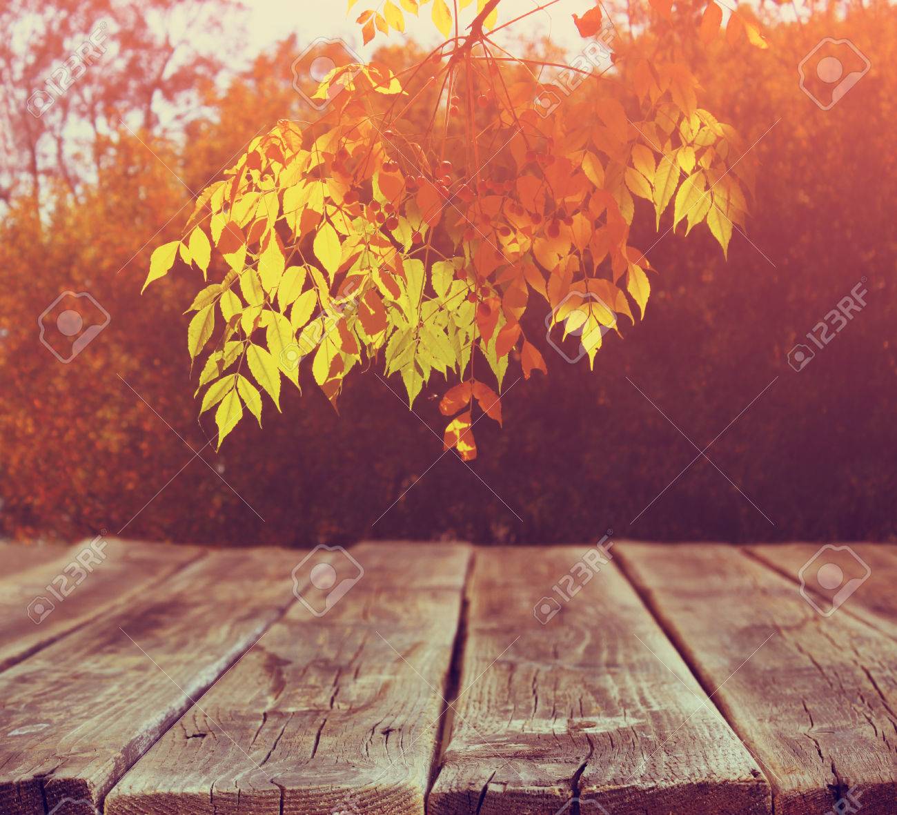 image of front rustic wood boards and background of fall leaves
