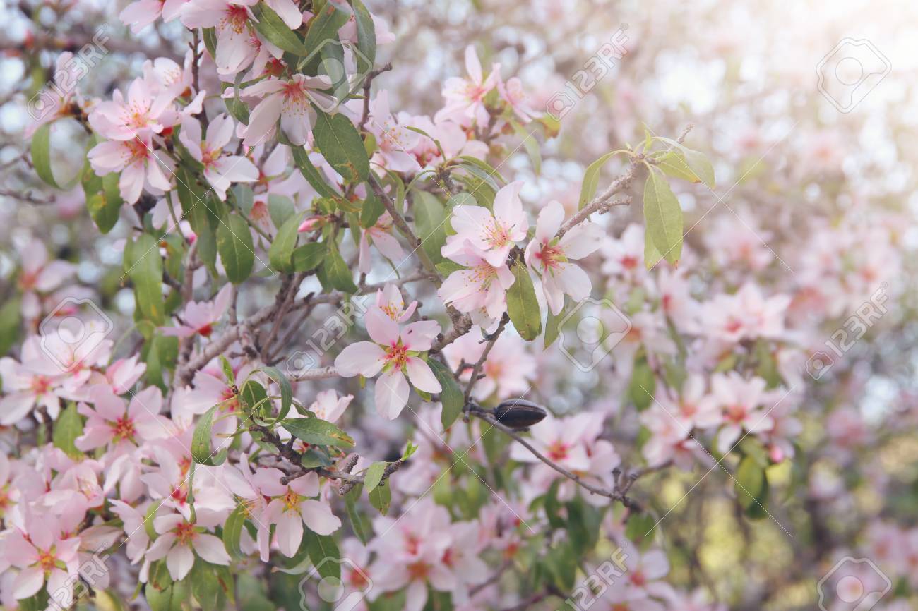 Spring whit forecast to wear for winter in 2019 Spring whit recommend dress for winter in 2019