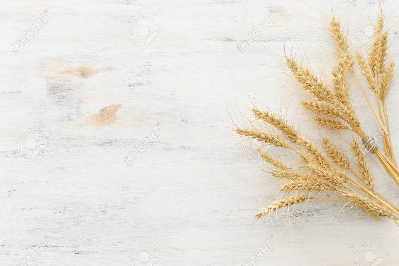 Top view of wheat crops over white wooden background. Symbols of Jewish holiday - Shavuot - 122684479 Top view of wheat crops over white wooden background. Symbols of Jewish holiday - Shavuot - 122684479