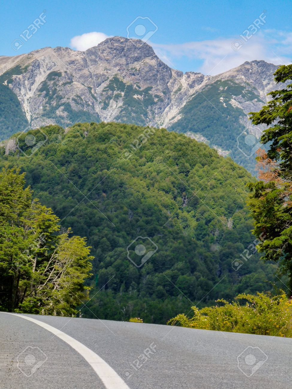 etiam-dictum-ipsum-a-felis