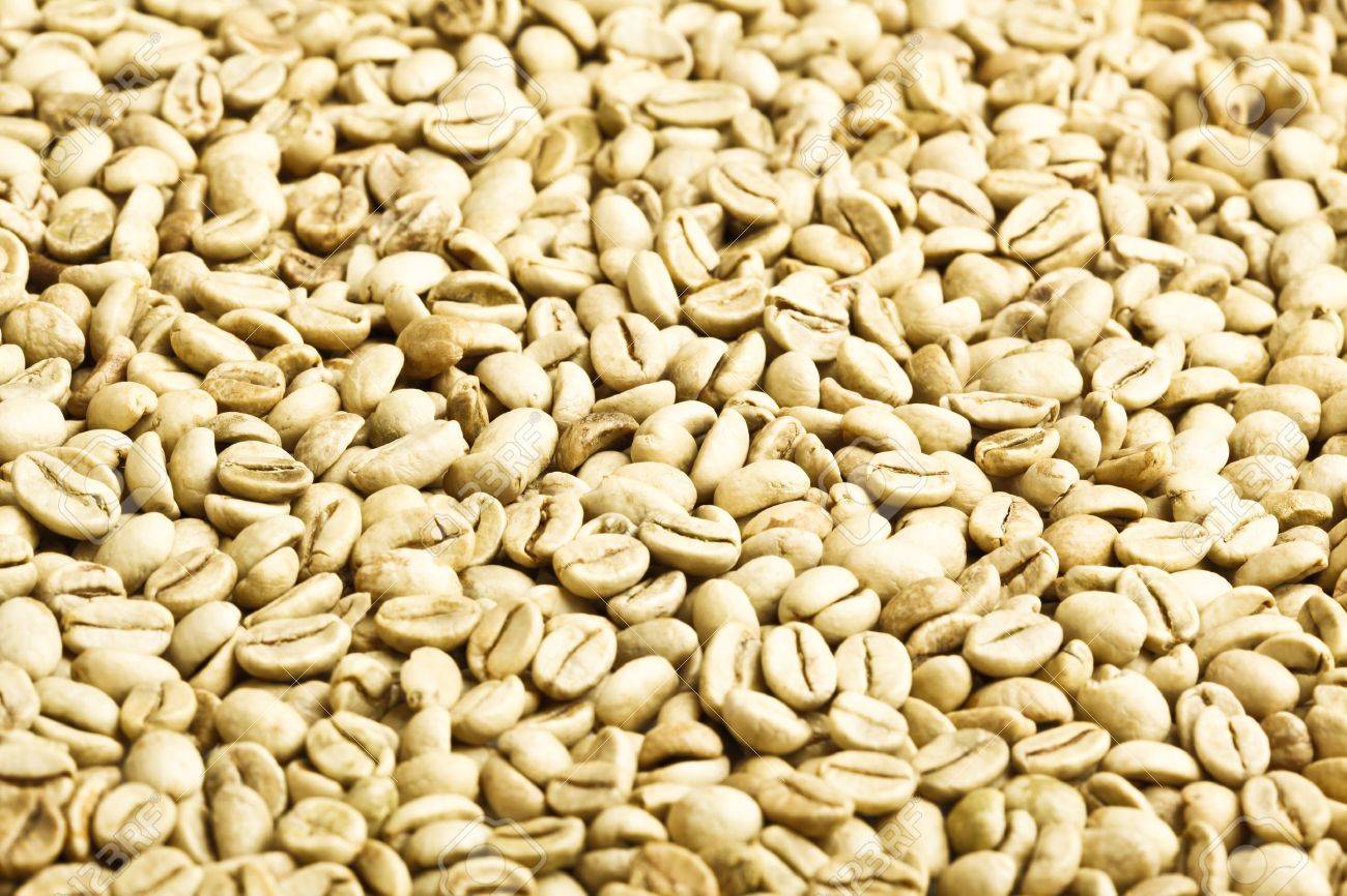 torrefattori di caffè verde a fagiolon