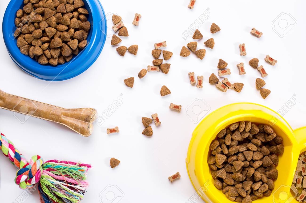 juguetes con comida para perros