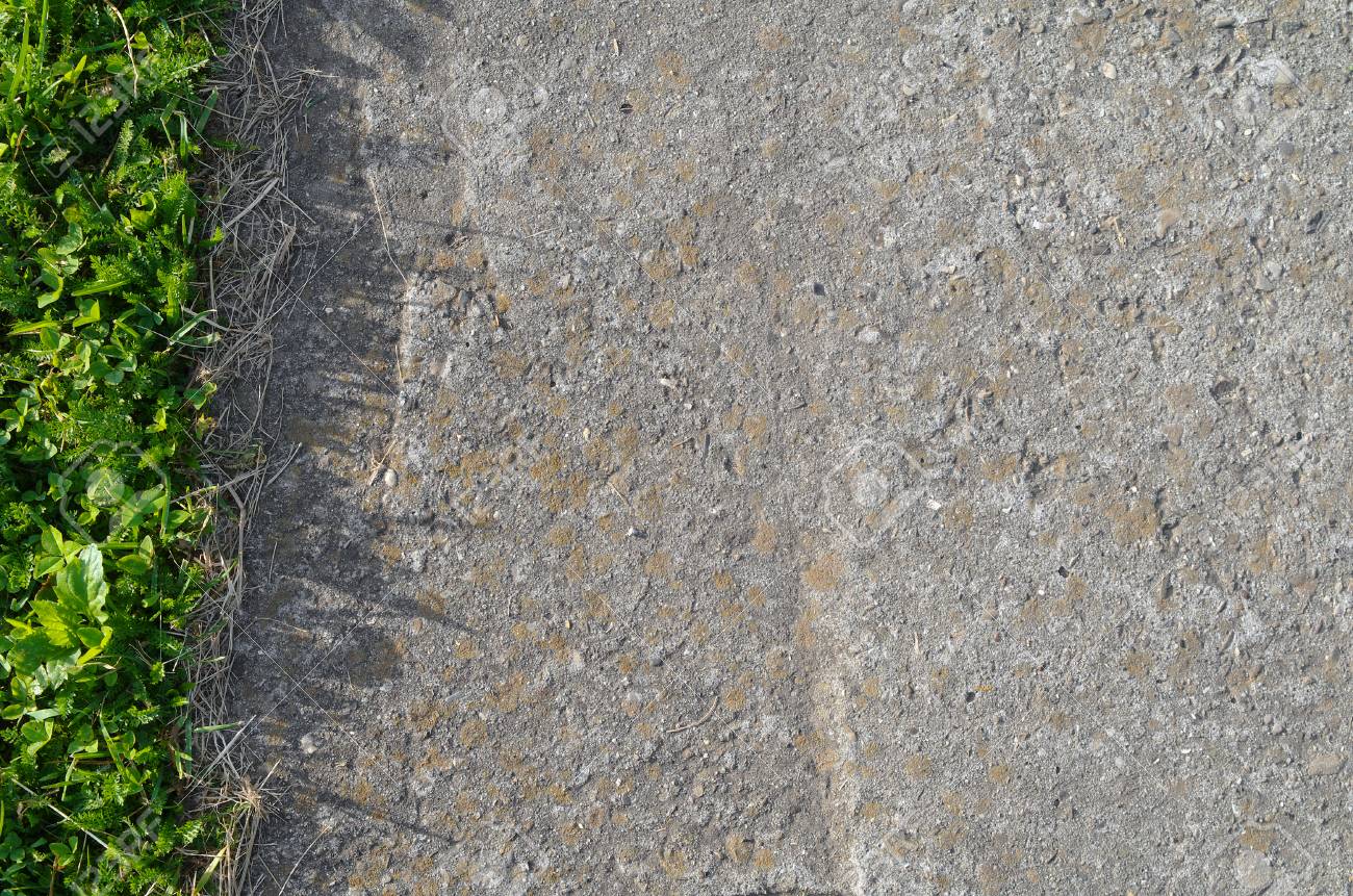 国草コンクリート路肩 の写真素材 画像素材 Image