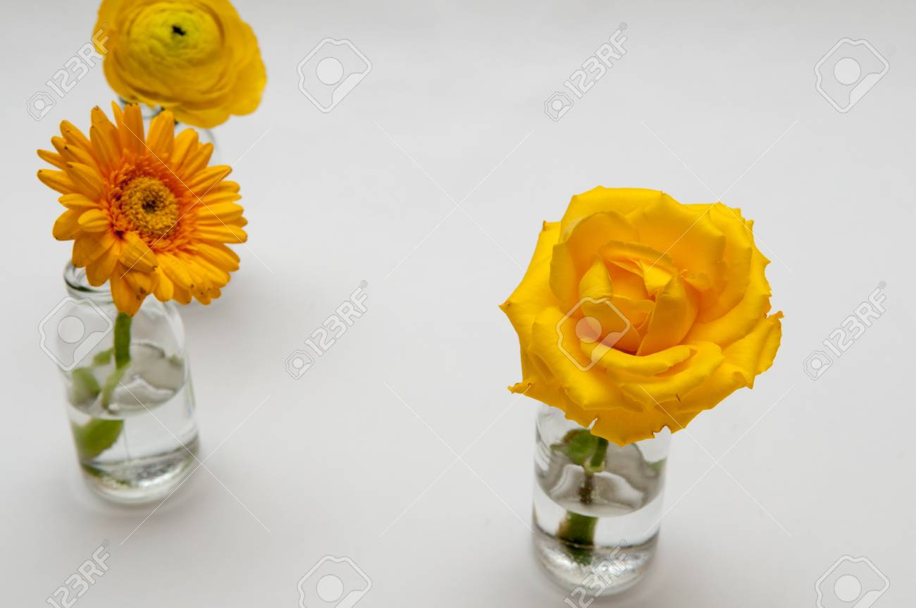 Close Up Of A Single Bright Yellow Rose In A Small Jar Of Water