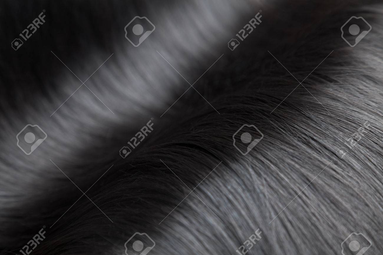 Closeup on luxurious straight and glossy black hair - 40046641 Closeup on luxurious straight and glossy black hair - 40046641
