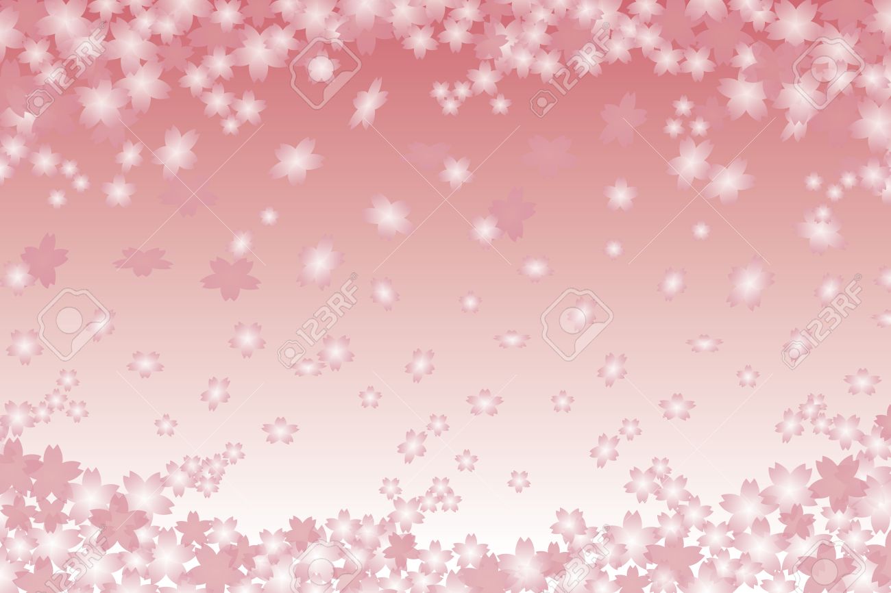 背景布 桜並木 おうちスタジオ フォト 卒業式 入学式 春 チェリーブロッサム 最大51 オフ