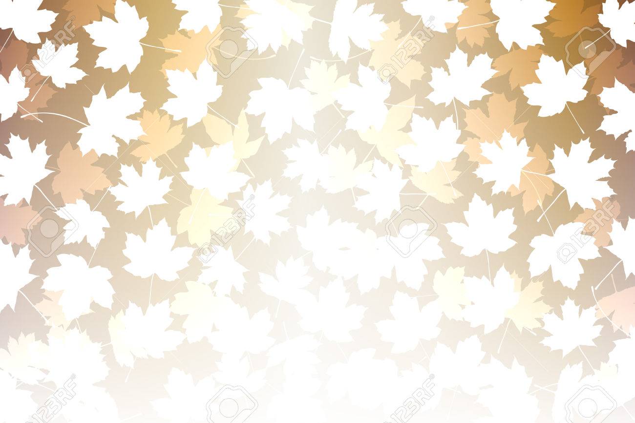 Avoir Images Materiaux De Papier Peint Erable Erable Erable Automne le plus cool par