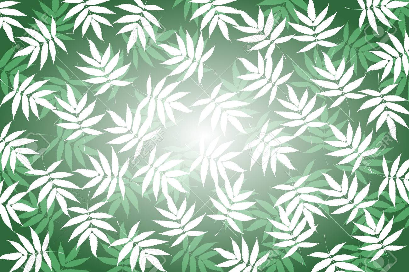 背景素材壁紙竹の葉 笹 笹 落葉 竹 和柄 伝統的なパターン 日本 東洋 緑の葉 夏 のイラスト素材 ベクタ Image