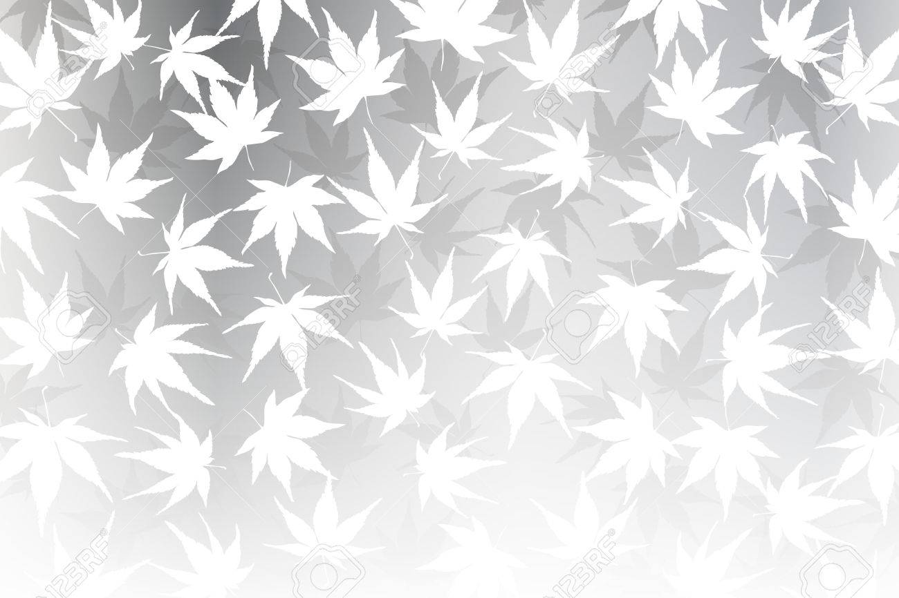 壁紙素材 もみじ葉 もみじ かえで 秋 葉 秋 山 風景 植物 自然 日本 日本 アジア 伝統的なパターンのイラスト素材 ベクタ Image 54624868