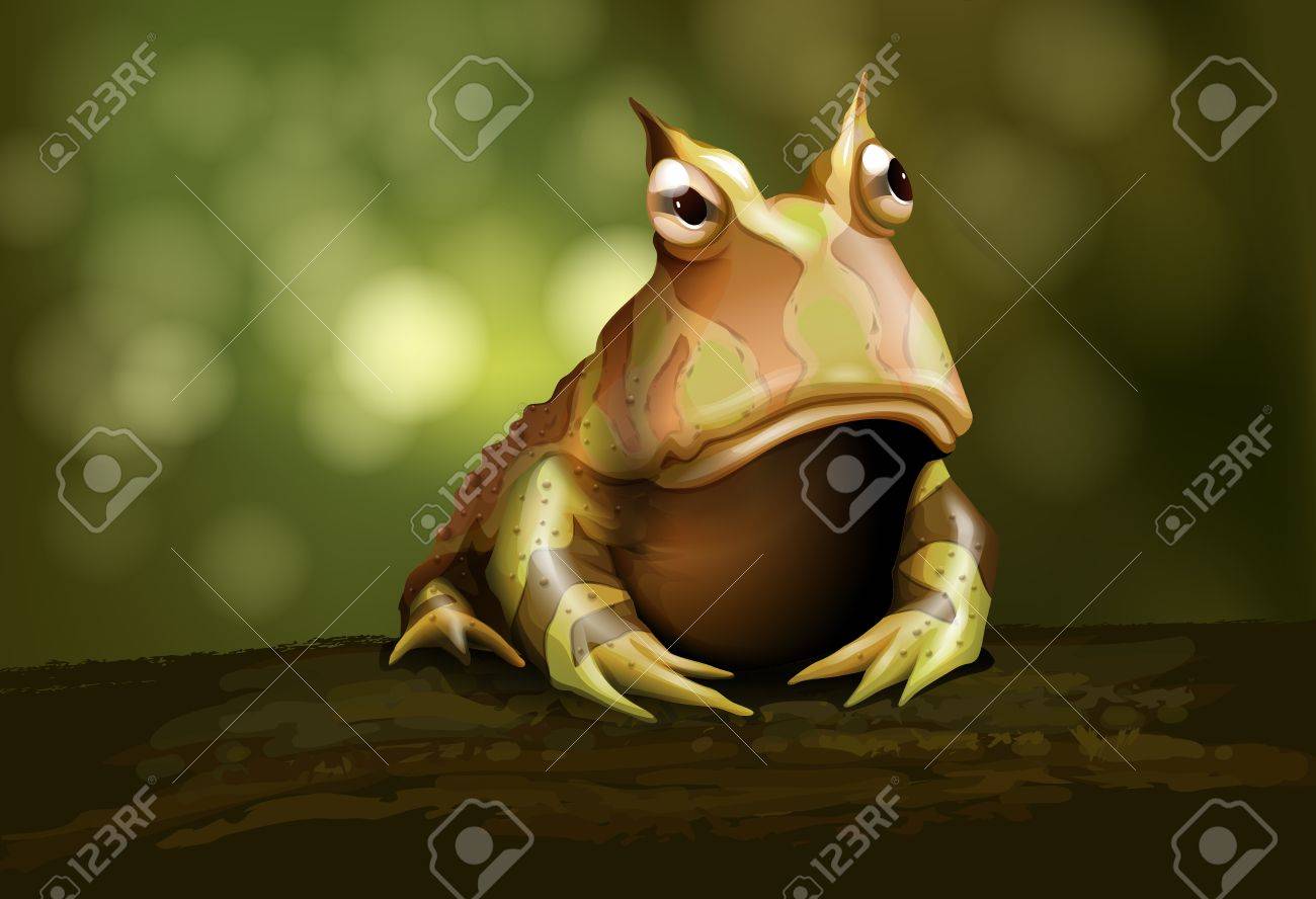 Horned Frog Realistic Illustration Royalty Free Cliparts Vectors And Stock Illustration Image Horned Frog Realistic Illustration Royalty Free Cliparts Vectors And Stock Illustration Image