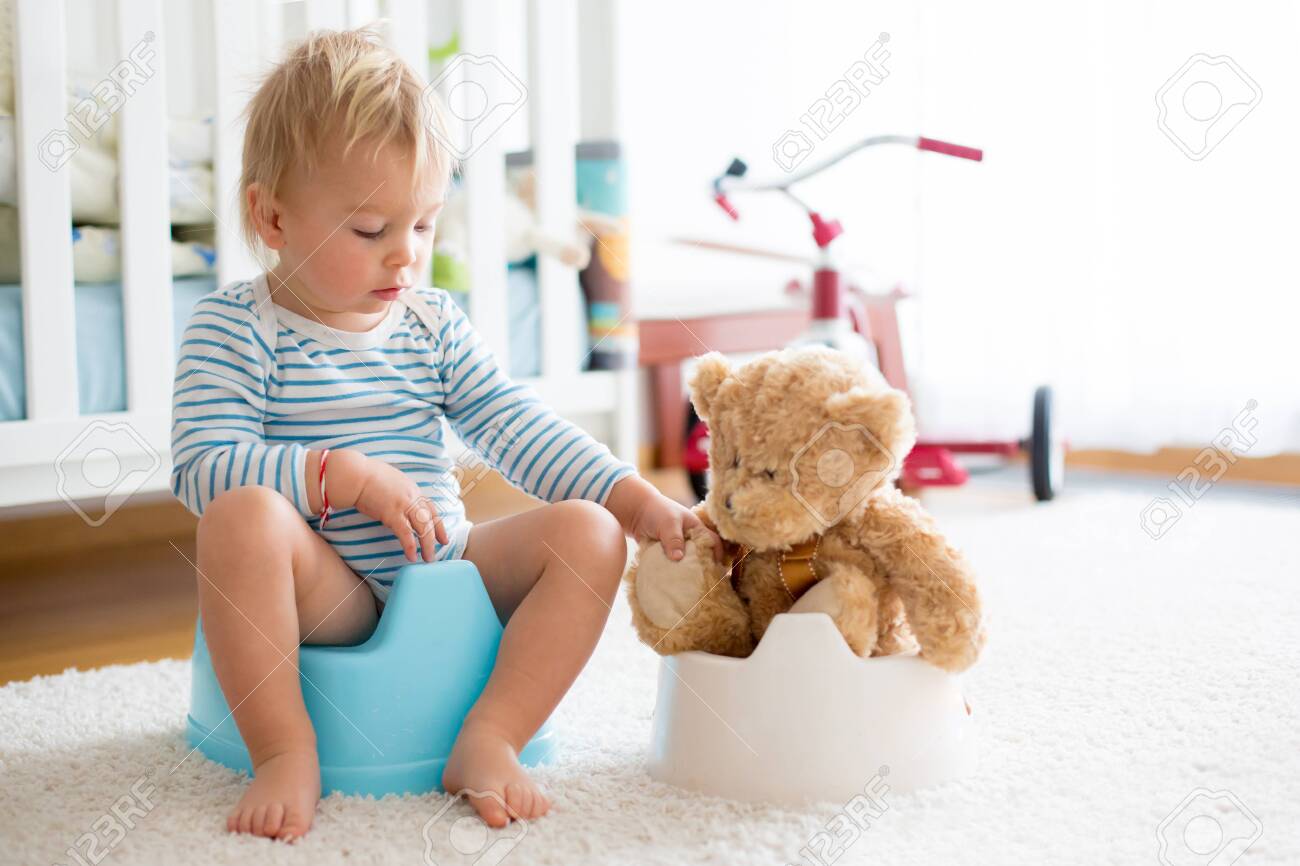 Cute toddler boy, potty training, playing with his teddy bear on potty - 124260330 Cute toddler boy, potty training, playing with his teddy bear on potty - 124260330