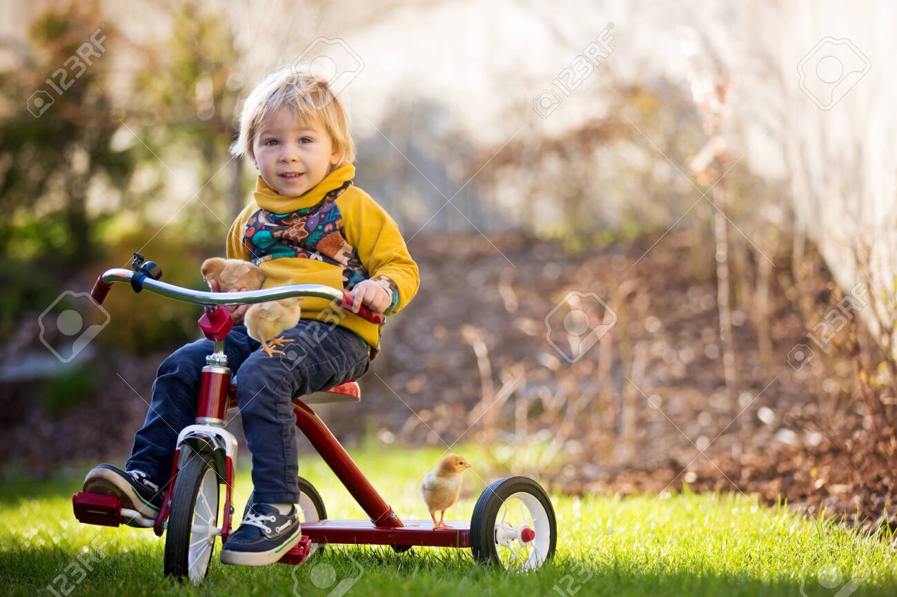 boy riding tricycle