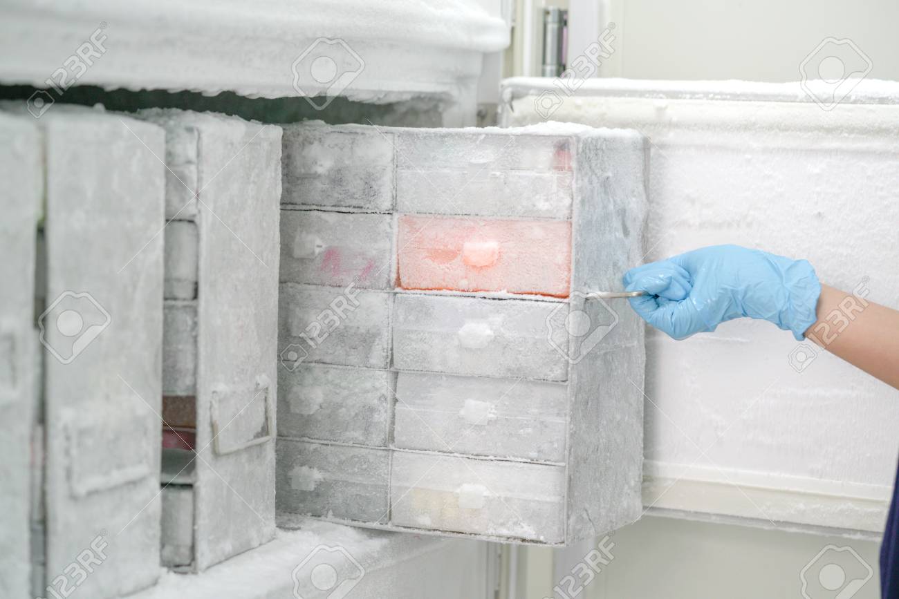 Keep isolated pathogen in ultra low temperature in the Laboratory freezer. - 92444630 Keep isolated pathogen in ultra low temperature in the Laboratory freezer. - 92444630